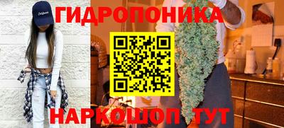 крисы Ачхой-Мартан