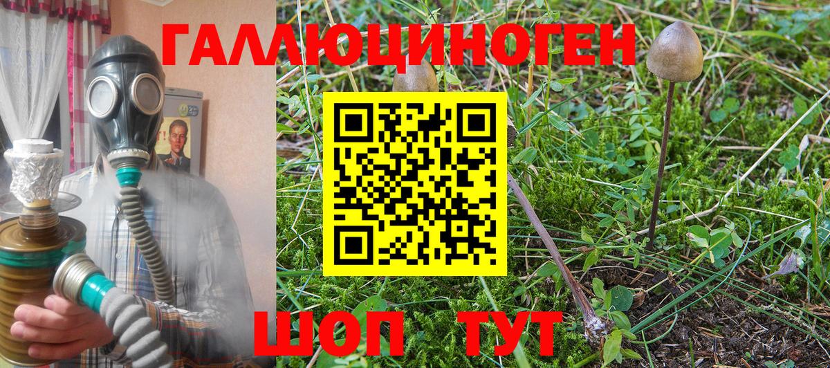 Галлюциногенные грибы Psilocybe  Псилоцибиновые грибы Psilocybine cubensis  Вход с VPN  Новокубанск 